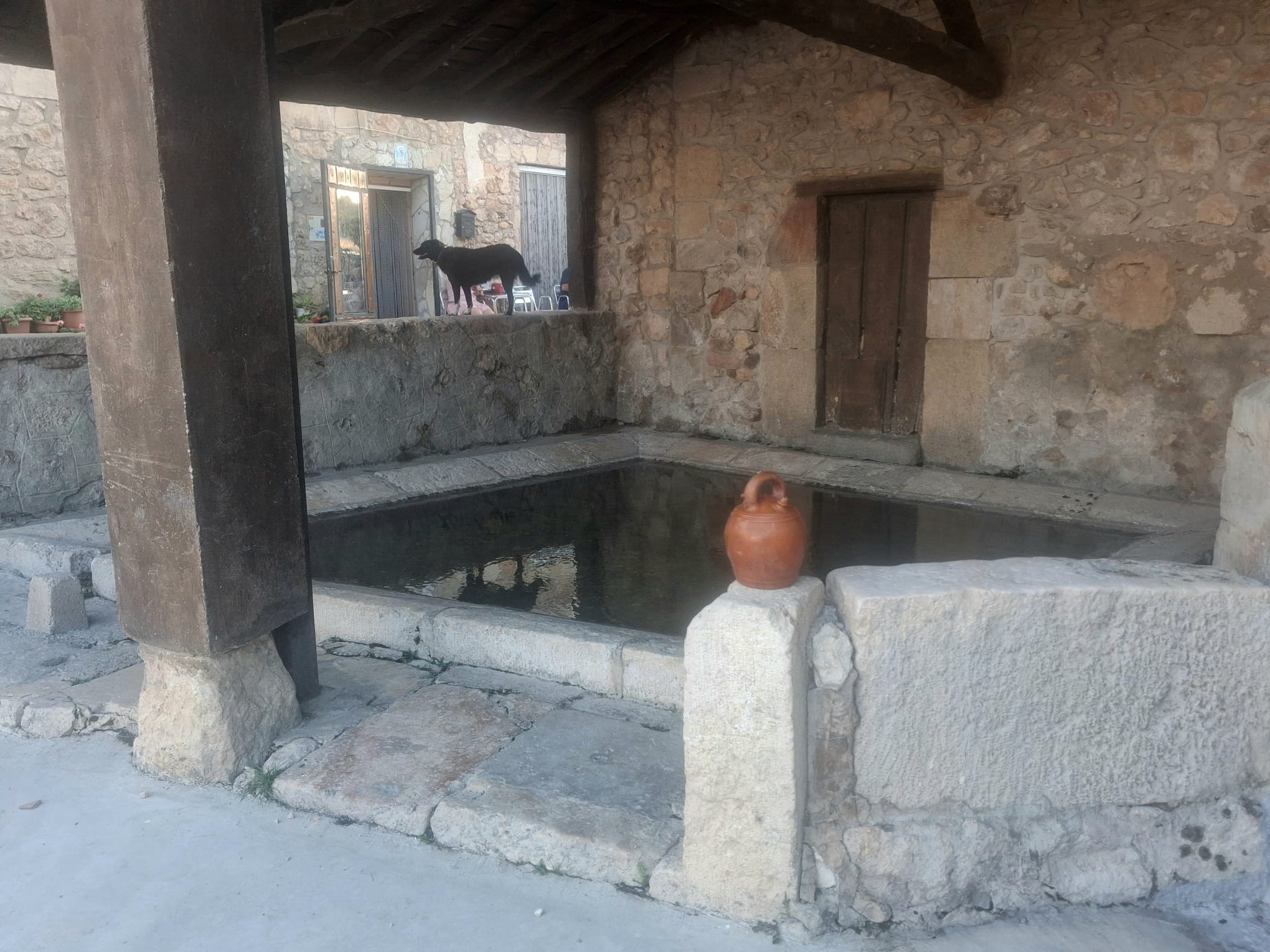 VIDA RURAL